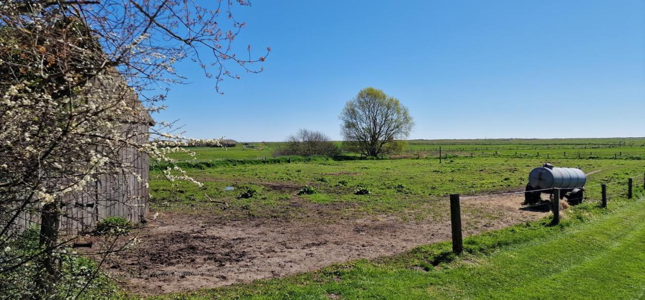 Ferienwohnung 'Gelting' - Refugium Pottloch Ostsee Kronsgaard Kültér fotó